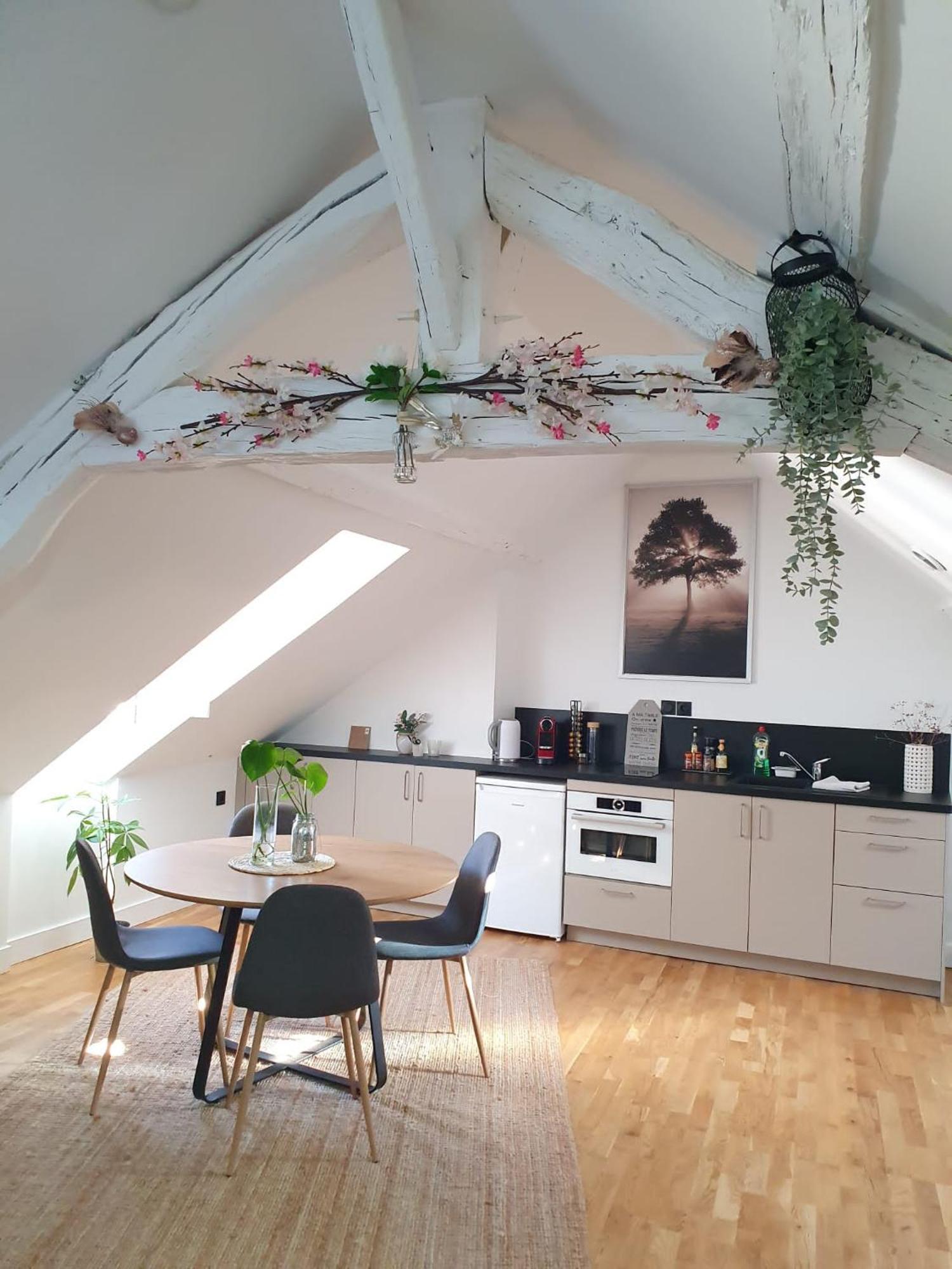 Ferienwohnung Quietude Au Bord De Loire. Orléans Exterior foto